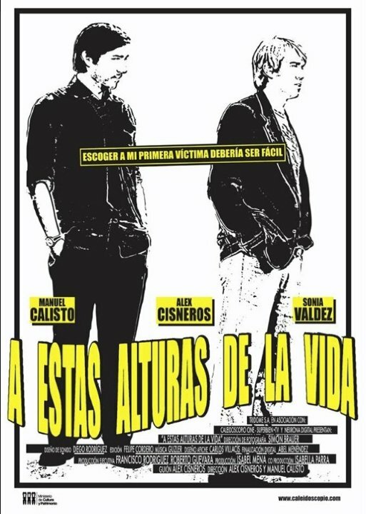 A estas alturas de la vida (2013) постер