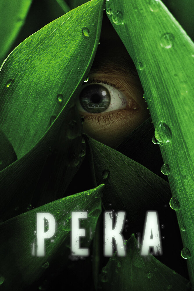 Река (2012) постер