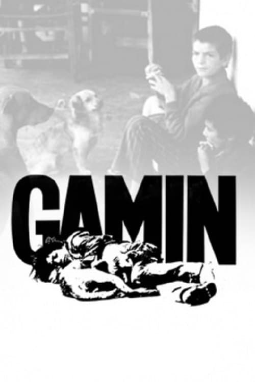 Gamín (1977) постер