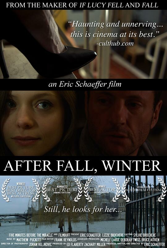 За осенью следует зима (2011) постер