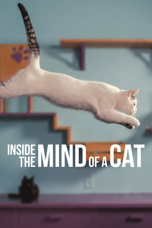 Внутри разума кошки (2022) постер