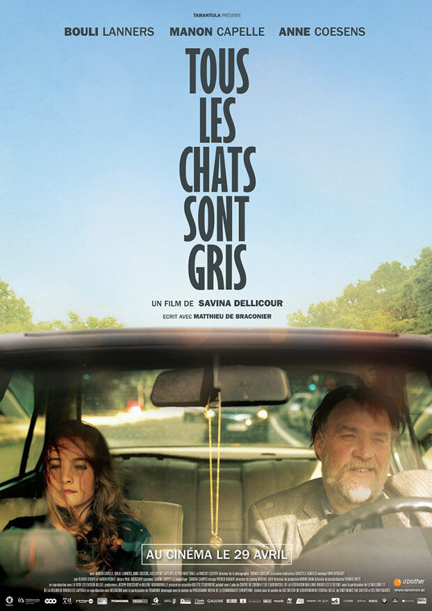 Tous les chats sont gris (2014) постер