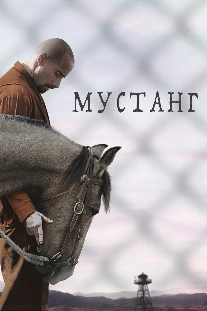 Мустанг (2017) постер