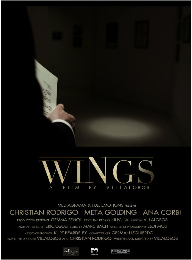 Wings (2013) постер