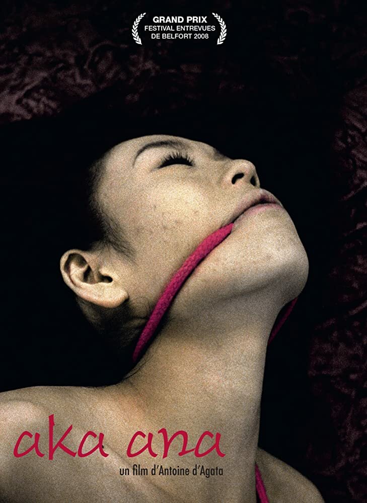 Красная дыра (2008) постер