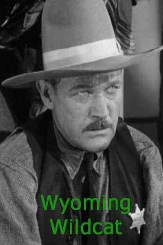 Wyoming Wildcat (1941) постер