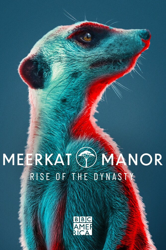 Meerkat Manor: Rise of the Dynasty (2021) постер