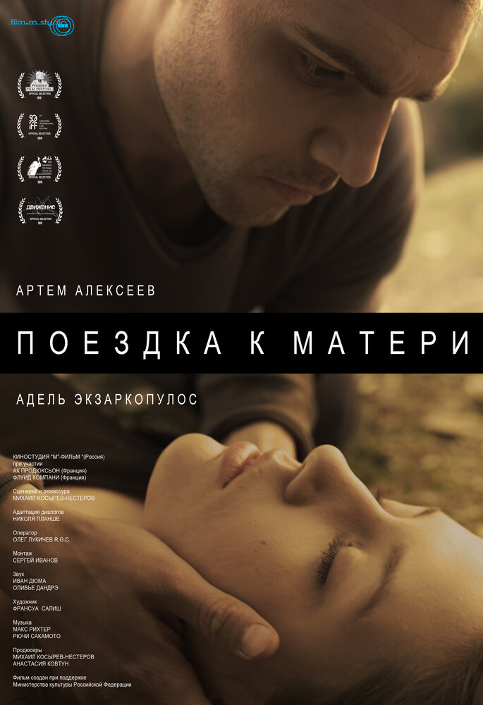 Поездка к матери (2014) постер